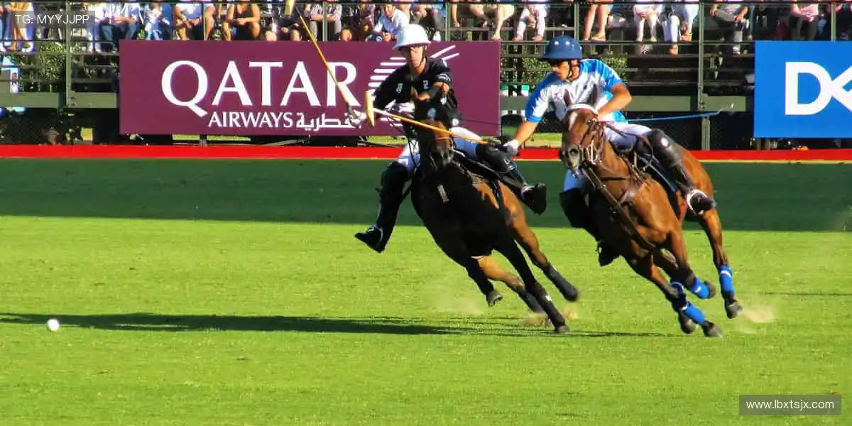 把汗水穿在身上，让热爱触手可及！🎁💪